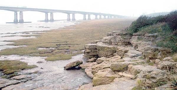 The banks of the Severn
